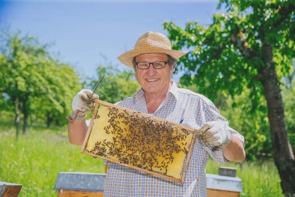 Imker präsentiert eine Wabe mit Bienen