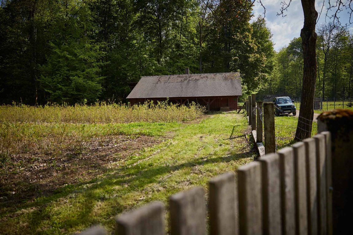 Offenburger Pflanzschule: Förster Andreas Bross und sein Team ziehen Eichen hoch