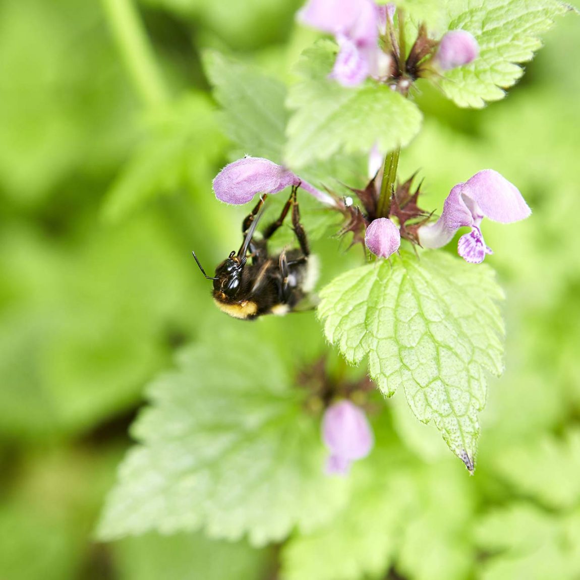 Schönste Natur in Deutschland