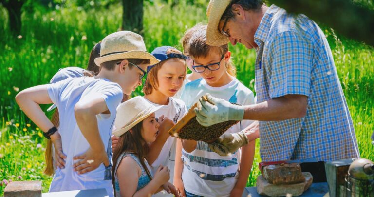 Imker zeigt den Kindern eine Wabe voller Bienen
