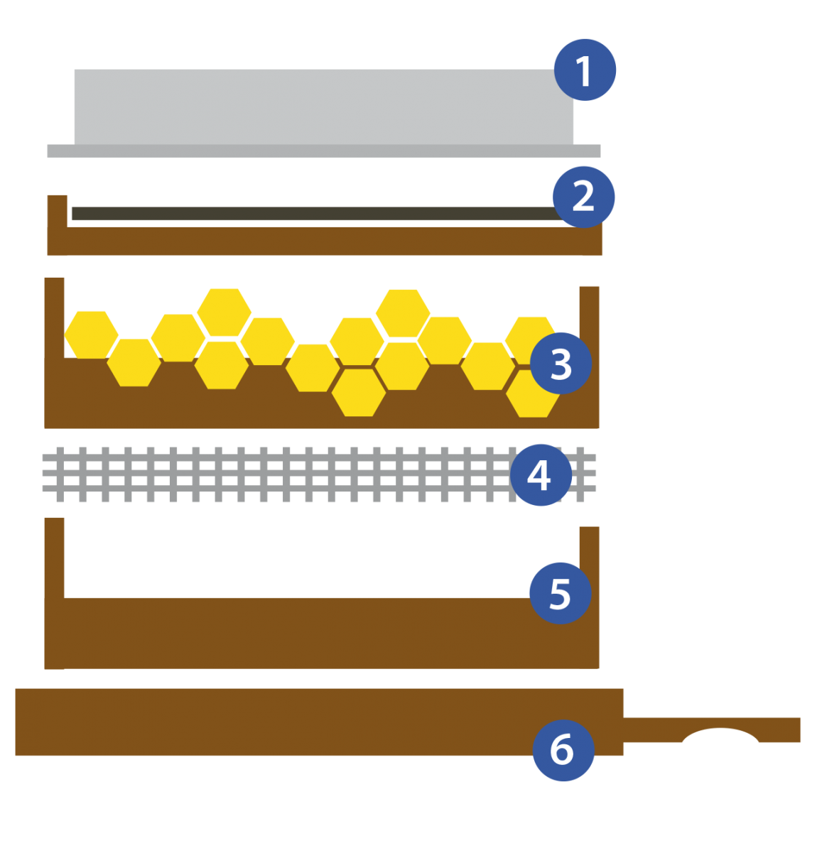 Aufbau eines Bienenstock