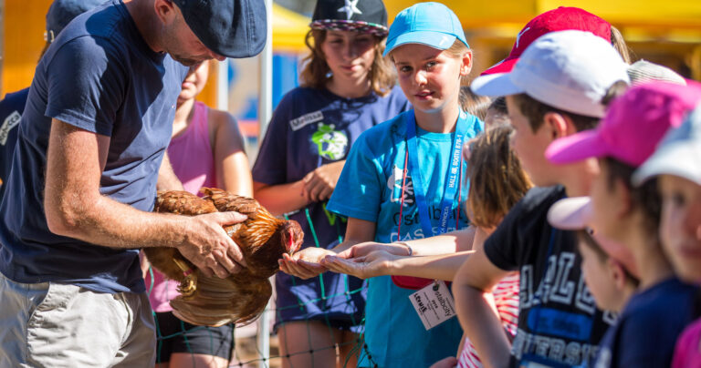 Kinder füttern das Huhn aus der Hand