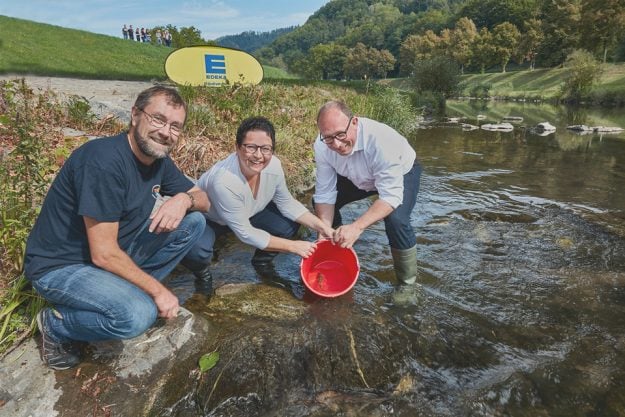 Lachs-Aktion in der Kinzig mit EDEKA Armbruster