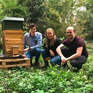 Die drei Entwickler neben dem Bienenstock