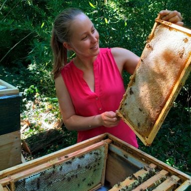 Katharina Schmidt prüft die Bienenwabe über dem Bienenstock