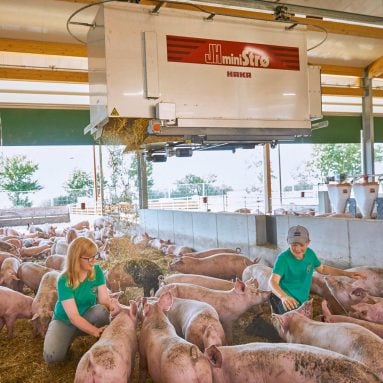 Kinder sitzen bei Schweinen im Stroh