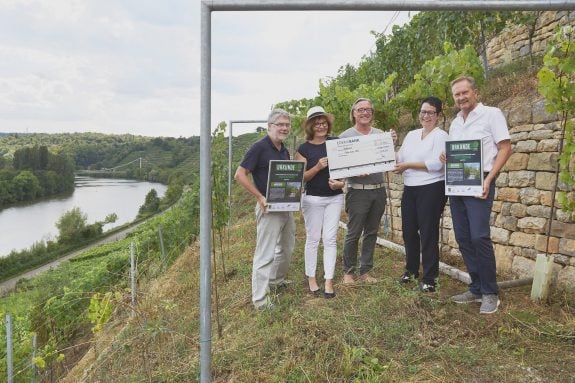 Scheckübergabe am Weinberg.