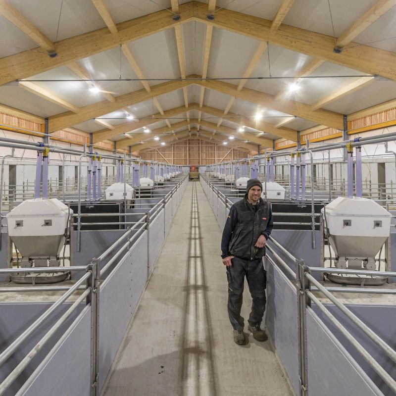 Auf seinen modernen Maststall ist Johannes Baur sichtlich stolz. Hier haben seine Tiere reichlich Platz, ständigen Zugang zum Auslaufbereich und eine Bodenheizung.