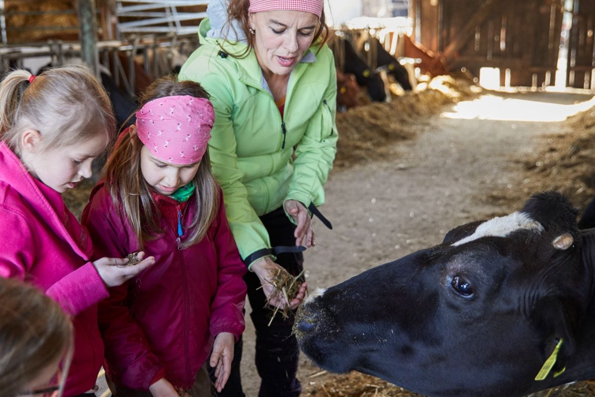 Lernort Bauernhof: Wo Kommt Unser Essen Her? - #zukunftleben