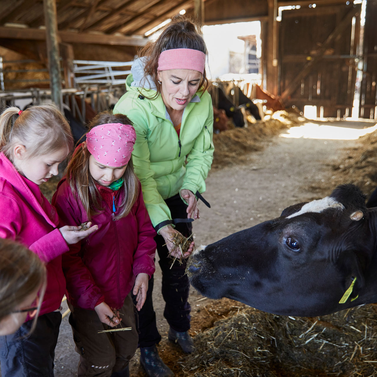 Lernort Bauernhof: Wo Kommt Unser Essen Her? - #zukunftleben